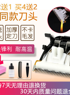 适用 蚁族 DDG-S01 DDG-S02 DDG-S03 宠物理发器 陶瓷刀头