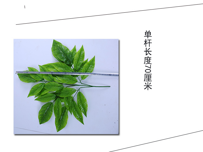 厂家直销，实物拍摄，利润微薄，最少一打12片起卖！~