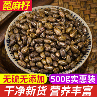 饱满大粒新货 蓖麻子中药材500g克 野生蓖麻子种子 篦麻子 蓖麻仁