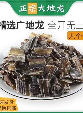 地龙中药材全正品开干地龙片地龙粉食用广西广地龙蚯蚓干地龙干