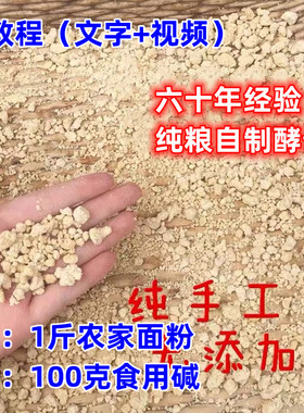 农家手工自制天然酵母老面头酵引子面肥发酵粉好用200g传统酵子