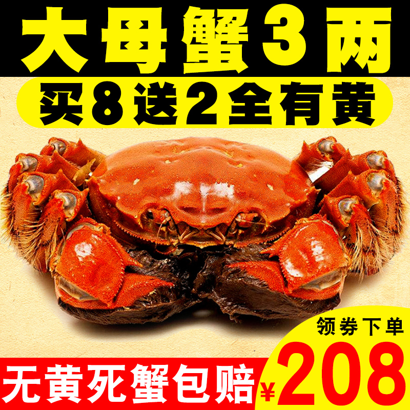 現貨陽澄湖大閘蟹鮮活螃蟹特大全母蟹8只送2共10只裝正宗禮盒包郵