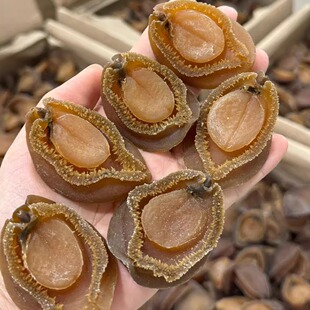 南非吉品鲍鱼溏心鲍鱼干货23-25头足干鲍500g海鲜干货佛跳墙礼盒