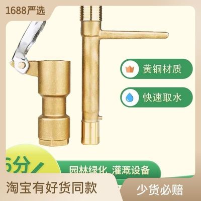 园艺快速取水阀全铜绿化草地埋式取水器6分外丝口快速取水器PPR25