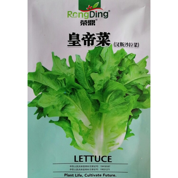 皇帝菜生菜种子四季春季盆栽阳台