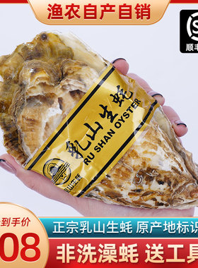 10斤装山东乳山新鲜生蚝鲜活海鲜水产海蛎子贝壳牡蛎带壳特大包邮