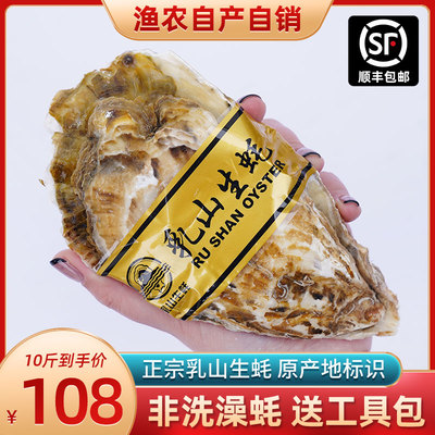 山东乳山新鲜10斤装水产海蛎子