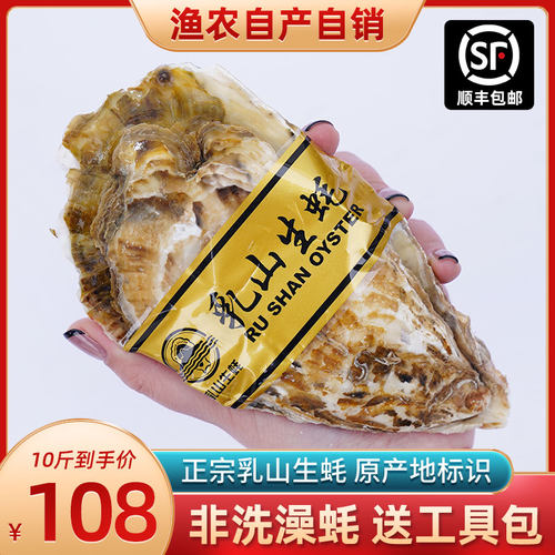山东乳山新鲜10斤装水产海蛎子