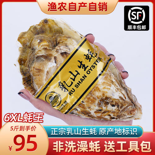 特大号正宗乳山生蚝贝壳鲜活