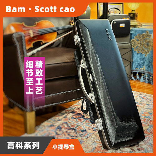 法国进口防潮抗压提琴盒