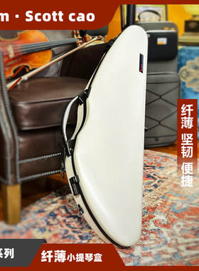 法国bam成人时尚轻巧防水小提琴盒 带密码锁安全 防潮抗压三角盒