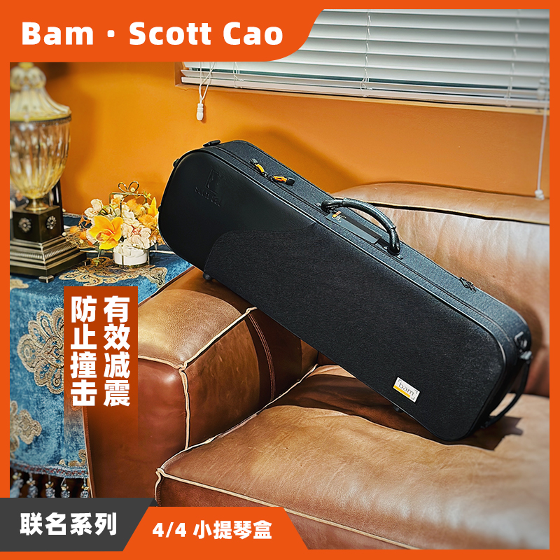 抗摔轻便耐用进口双肩背琴盒bam