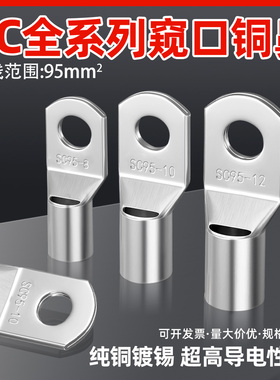 20只装SC95-8/10/12短铜鼻子窥口接线端子铜线耳SC-95平方镀锡