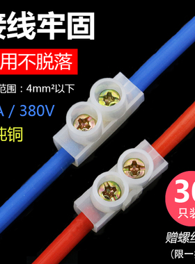 电线连接器多功能一对一电线对接接线端子公母快速接线10A30只