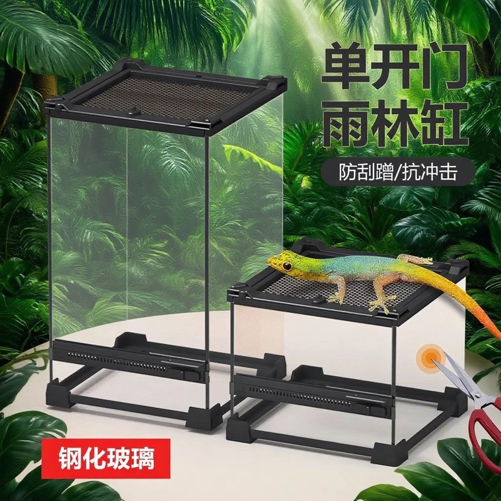 爬宠生态造景饲养缸爬虫前