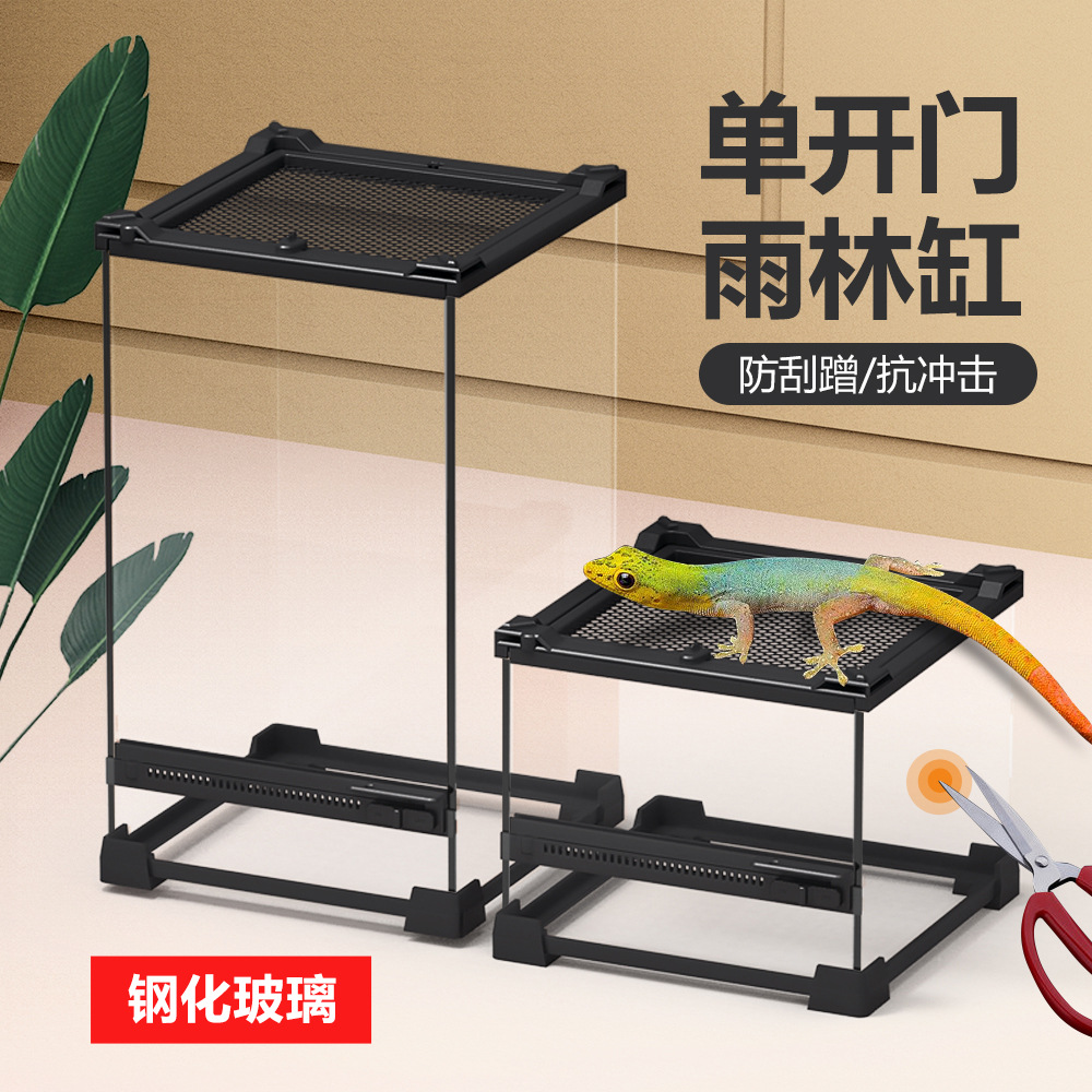 爬宠缸生态造景缸寄居守宫