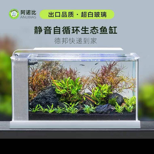 小型水族箱生态草缸价格 小型水族箱生态草缸图片 星期三
