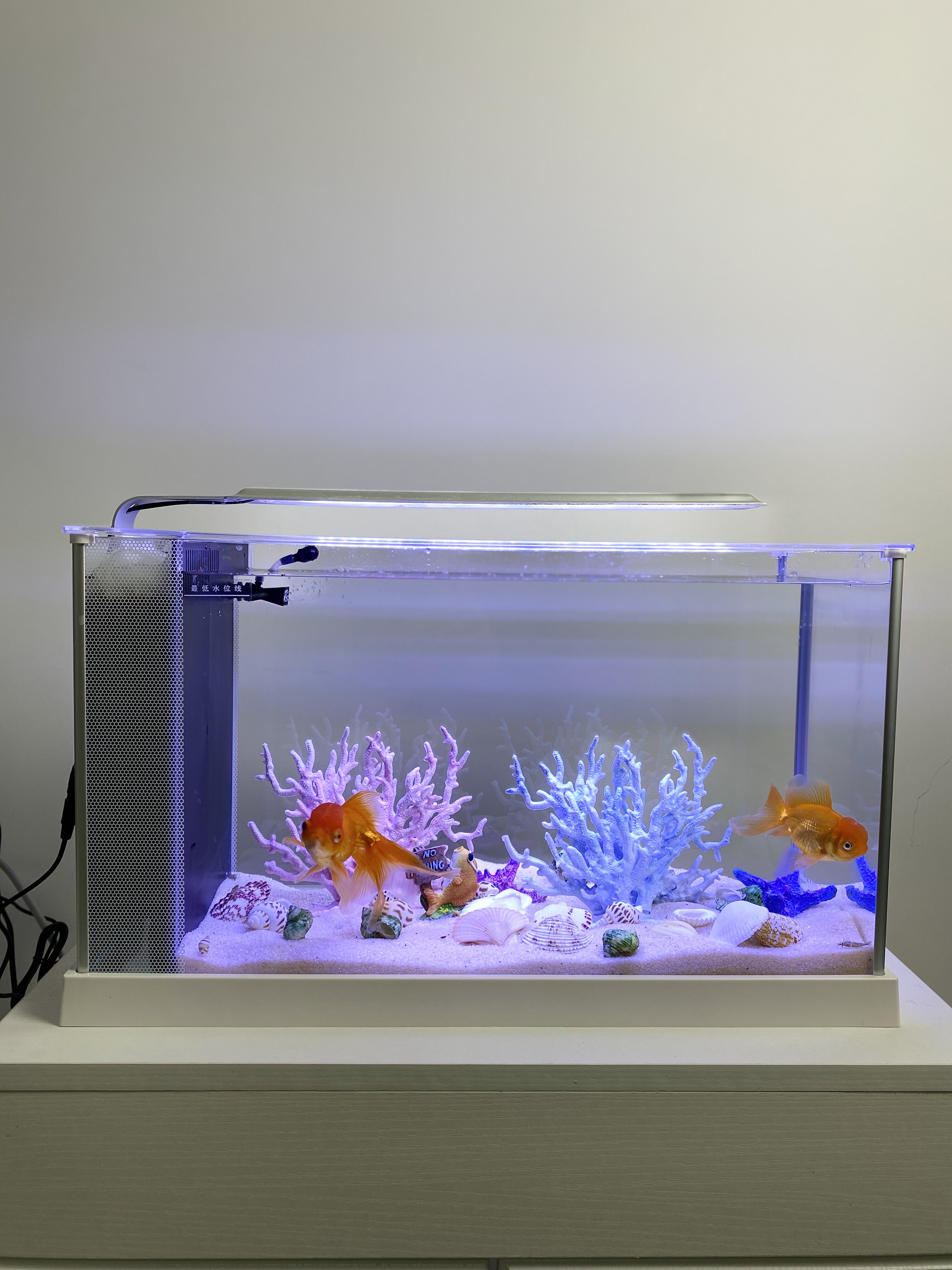 阿诺比客厅桌面小鱼缸超白玻璃侧过滤静音生态水族箱热带鱼带增氧