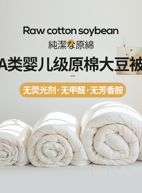 Cotton Summer Quilt 纯棉白色提花空调被 可水洗夏季绗缝薄被