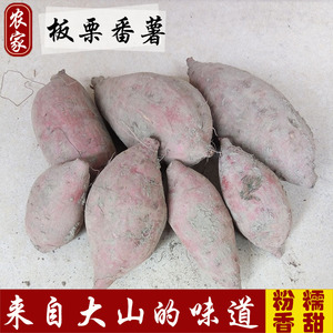 板栗红薯5斤包邮 粤北农家自种 新鲜番薯 小香薯 红皮黄心地瓜 甜