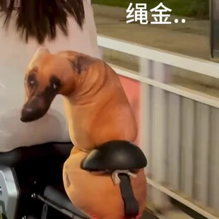 呆萌单身狗抱枕创意仿真毛绒玩具哈士奇整蛊抱枕公仔超萌七夕礼物