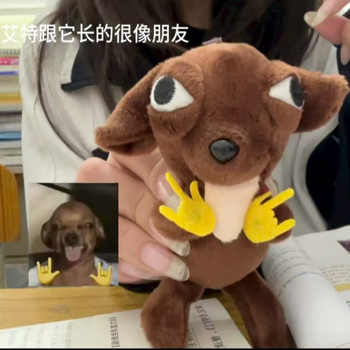 摇滚吉娃娃书包挂件毛绒公仔玩具洗袜袜礼物女