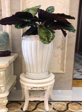 欧式花架实木白色客厅家用落地木质架子圆形多层盆景花盆整装包邮