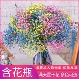 Полный Tiantian Natural Dry Flower Bouquet ins net Red Birthday New House Decorative Ornament Air -Dried Real Flow