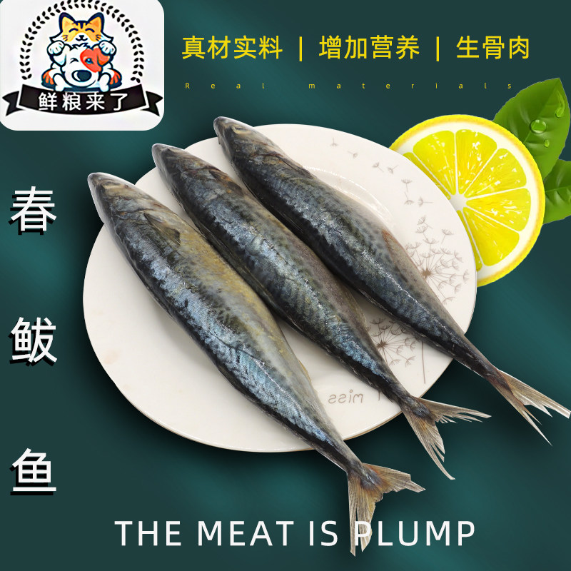 鲅鱼 马鲛鱼 一条一斤左右