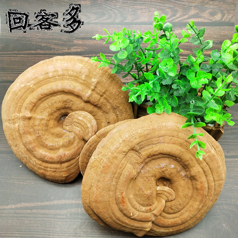 长白山灵芝赤芝东北特产整枝切片