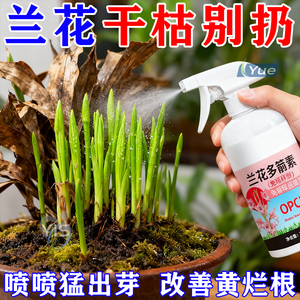 兰花多箭素【免稀释+生箭促芽】
