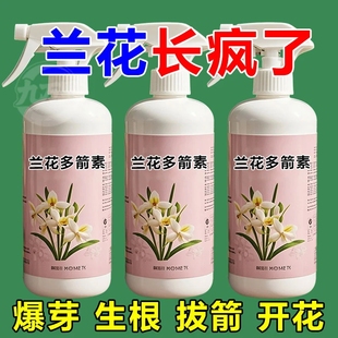 花专用营养液兰花多箭素兰蝴蝶兰催花延花期防黄叶专用液体肥浓缩