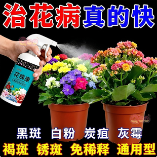花病康植物花卉通用型花病康免稀释直喷型家庭园艺盆栽抗菌活性剂