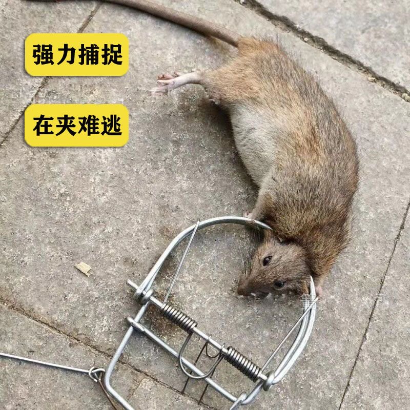 老鼠夹子自动捕鼠器家用老鼠夹灭鼠神器粘鼠板老鼠笼老鼠贴强力