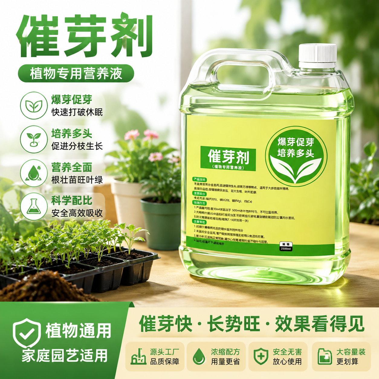 解决植物不冒芽【爆芽素】速冒芽