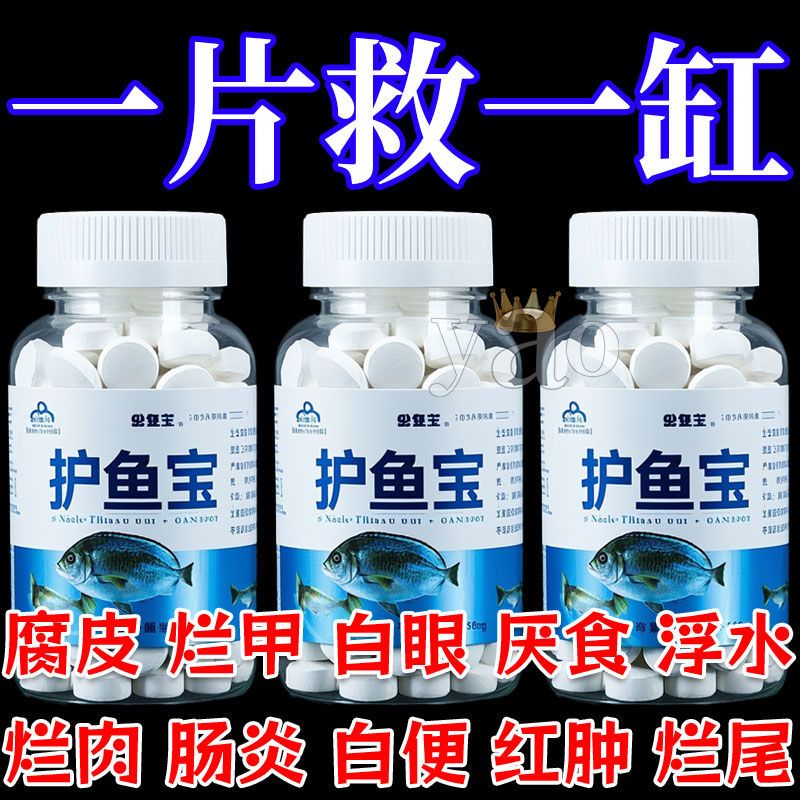 護魚寶魚病專用藥康復消毒藥爛身爛尾白點白毛掉磷蒙眼殺菌消炎
