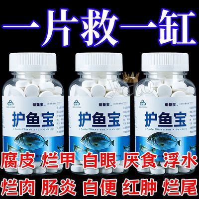 护鱼宝鱼病专用药康复消毒药