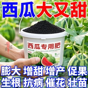 【瓜友推荐】西瓜肥料促花保果