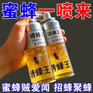 强效诱蜂液蜂王防逃器新手诱蜂专用蜂蜡诱蜂用收蜂正品蜜蜂用具