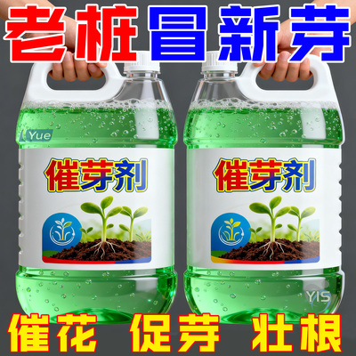 植物催芽剂多芽促芽催芽分化叶插花植物多肉绿植通用型生根复活液