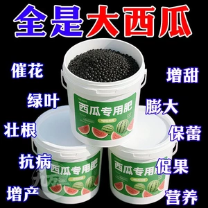 西瓜肥料唤醒西瓜活力增产丰收