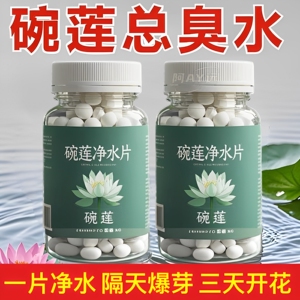 碗莲专用净水片快速净水催芽开花