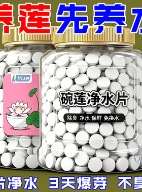 植物保鲜碗莲水培植物专用净水片营养净水保鲜剂富贵土壤渗透剂