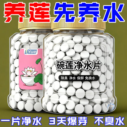 植物保鲜碗莲水培植物专用净水片营养净水保鲜剂富贵土壤渗透剂