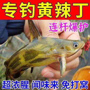 浓香型黄辣丁专用饵料钓鱼小药野钓通杀窝料昂刺鱼青稍红尾专攻