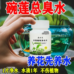 水培植物净水片鲜花保鲜消毒片净水保鲜剂碗莲净水片通用保鲜片