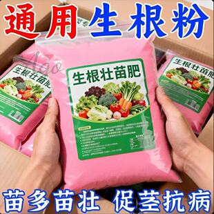 正品爆生根生根肥生根剂猛生根通用型蔬菜果树生根壮苗发根快速