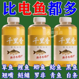 浓香型小药诱鱼剂野钓黑坑鲫鱼鲤鱼专用钓鱼小药 千里香2025新款
