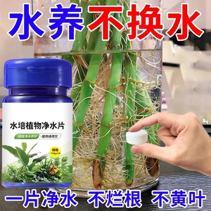养花二氧化氯泡腾消毒片消毒剂宠物鲜花液杀菌插花鲜花卉保鲜切花