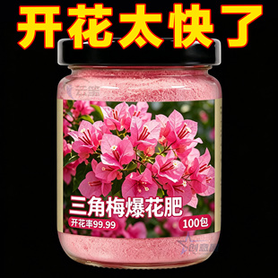 快速开花粉强效款式茶花桂花玫瑰三角梅茉莉爆花通用促花园艺磷肥